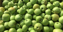 Voi vinde un mutsu frumos, un măr curat, fără
