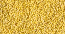 Просо 2020 усев Чистоћа 98% Мин. Влажност ваздуха 13%