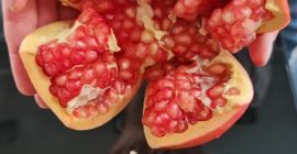 Pomegranates from Spanish producers, Mollar variety (very soft seeds),