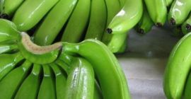 Farbe Grün, Gelb Durchmesser 3-4 cm Länge 17-20 cm