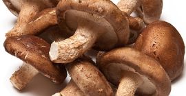 Morel are o nutriție bogată, conform determinării Morchella care