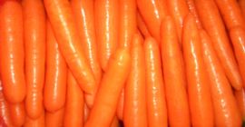 Calitatea exportatoare: proaspătă, curată, regulată, fără reziduuri de pesticide,