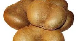 Exstra Sp. Z o. O. Oferă livrarea KIWI din