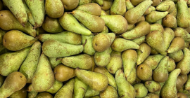 I will sell a pear gruga conference, 85-90% 60+,