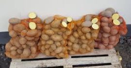 гомила робе - јестиви кромпир жељене сорте - беле