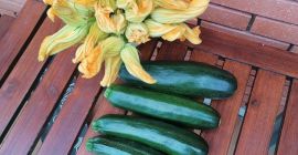 Vendo zucchine, posso smistare circa 500 kg per grandezza