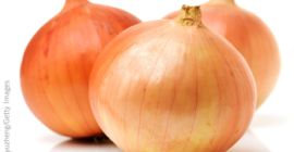 Frische Ernte von roten und gelben Zwiebeln für den