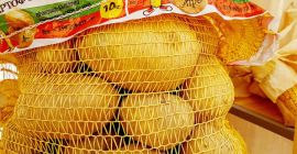 Kartoffelproduzenten mit langjähriger Erfahrung. Großhandel durch Aushandlung des Preises