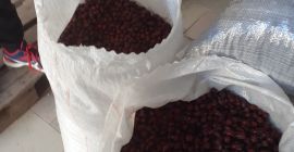 Здравствуйте, есть в наличии 45 тонн высококачественного шиповника ,