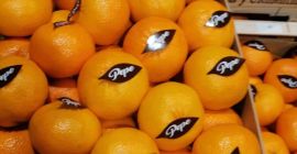Ich werde eine Orange und eine Mandarine aus Spanien