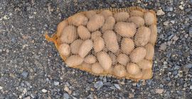 Vendo patate gialle calibro 5+. Confezionato in sacchi da