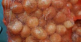 Продам свежий желтый лук У нас есть свежий желтый