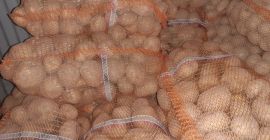 Vineta is very tasty, 15 kg bags
