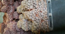 Wineta - very tasty edible potato. 15kg -30kg packed.