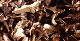 I will sell dried bay boletes, cut, price per