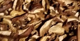 I will sell dried mushrooms. Boletus 180 PLN per