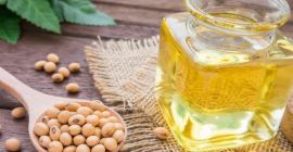 Компания NODIA Sp. z o. производит и продает соевое