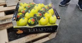 Helló, Lemon Majer 66-os és annál nagyobb kaliberű, van