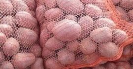 Patate Bellarosa commestibili