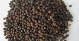 Black Pepper Whatsapp: +13236413248 Prezzo: $ 5500 Per MT