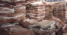DONKEY HIDES Animal Skins And Hides Whatsapp: +13236413248 Add