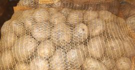 I will sell Vineta potatoes, very tasty, packing 15