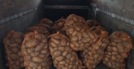 Geleekartoffeln zu verkaufen, Preis verhandelbar. Ich werde weitere Informationen