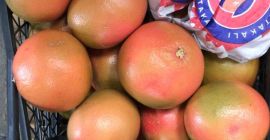 sale of grapefruit from Turkey Delivery directly from the