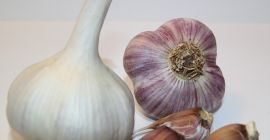 Свежий чеснок сорта Любаша. Немецкое выращивание! Любаша имеет свои