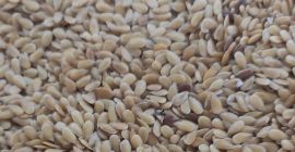 Hello. I will sell gold flax from this year&#39;s