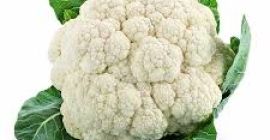 I will buy cauliflower - large amounts to Naples,