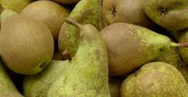 &quot;Conference&quot; pear juicy, very tasty. Packing and calibration at
