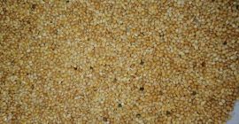 Vindem: mei galben Crop 2020 Origine ucraineană Cantitate -