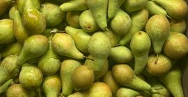 Fresh good quality pears from NL ,size 70+ most