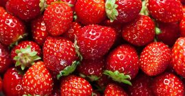 Vendita di fragole congelate di alta qualità dal raccolto