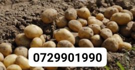 I am selling consumer potatoes from the production of
