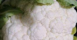 Excellent quality cauliflower from the North-Western part of Turkey.