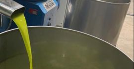 Extra virgin olive oil from Jordan valley