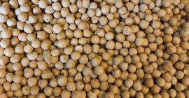 Влага - 14% макс., Чужди материали - 2%, цепки