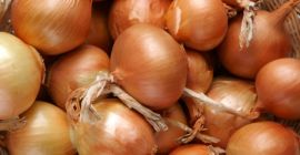 Vendita di cipolle di ottima qualità, adatte allo stoccaggio