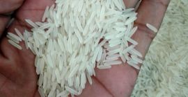 1121 Sella Basmati Langkorn Premium Reis Verpackung: 10 kg