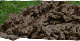 Zion Possession Od około dwóch lat jesteśmy zaangażowani w