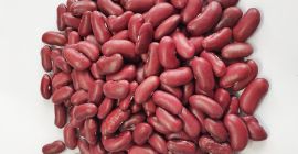 Fresh harvest green mung beans, kidney beans for export