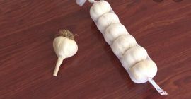 Чеснок высшего сорта Калибр от 30 мм до 65