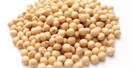 Ukraine has cultivated soybeans since ancient times. Soybean has