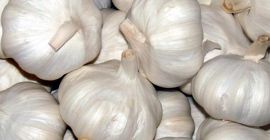 Közeli rokonai közé tartozik a hagyma, a medvehagyma, a