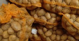 Vendo patate