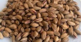 Pistacchio