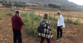 Certificat de produs ecologic în așteptare. Putem cominica prin