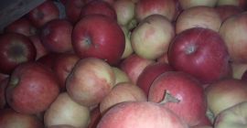 Voi vinde aproximativ 10 tone de Idareta depozitate într-o